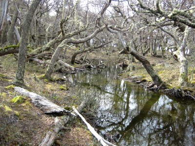 argentinien_originale 450.jpg